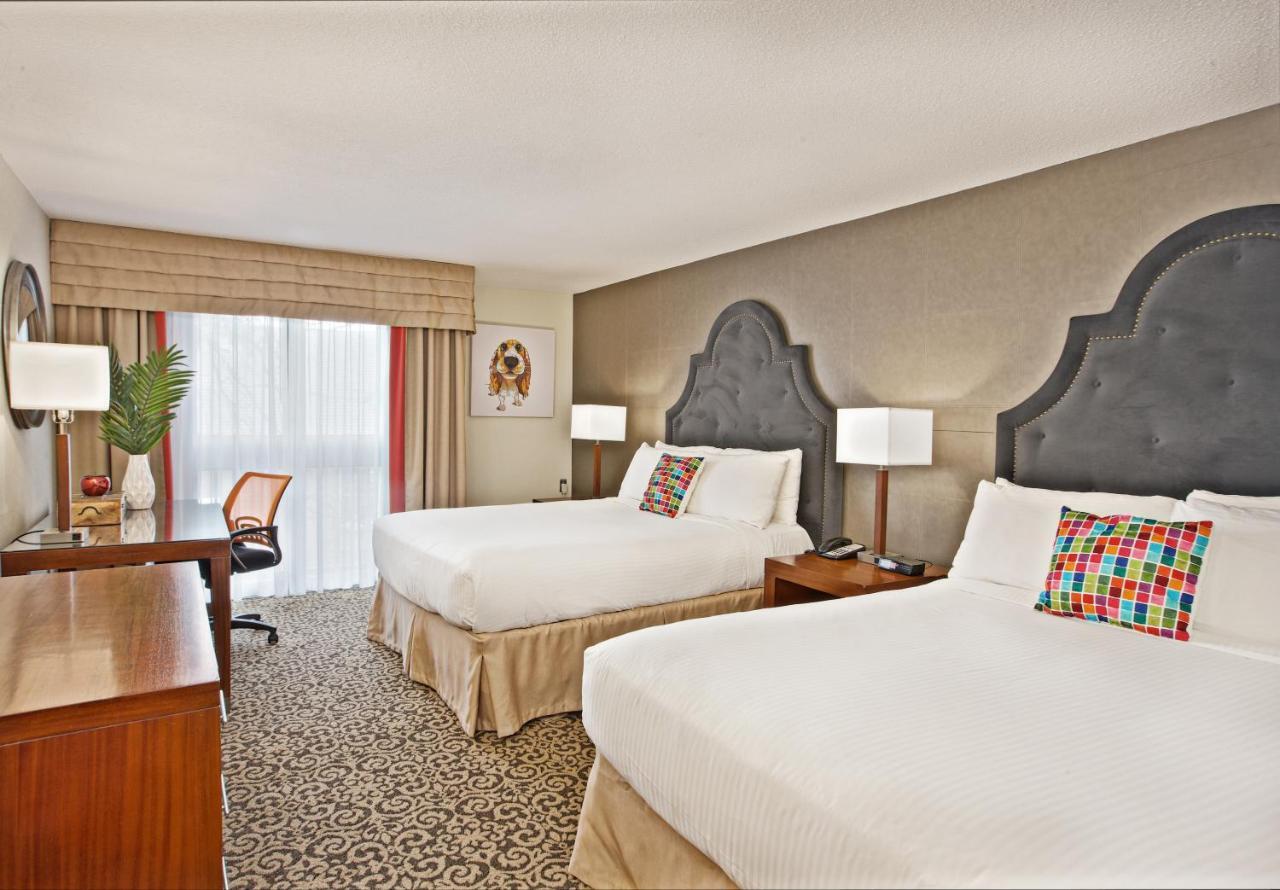 Queen Room with Two Queen Beds and Courtyard View,964502482:JPEG